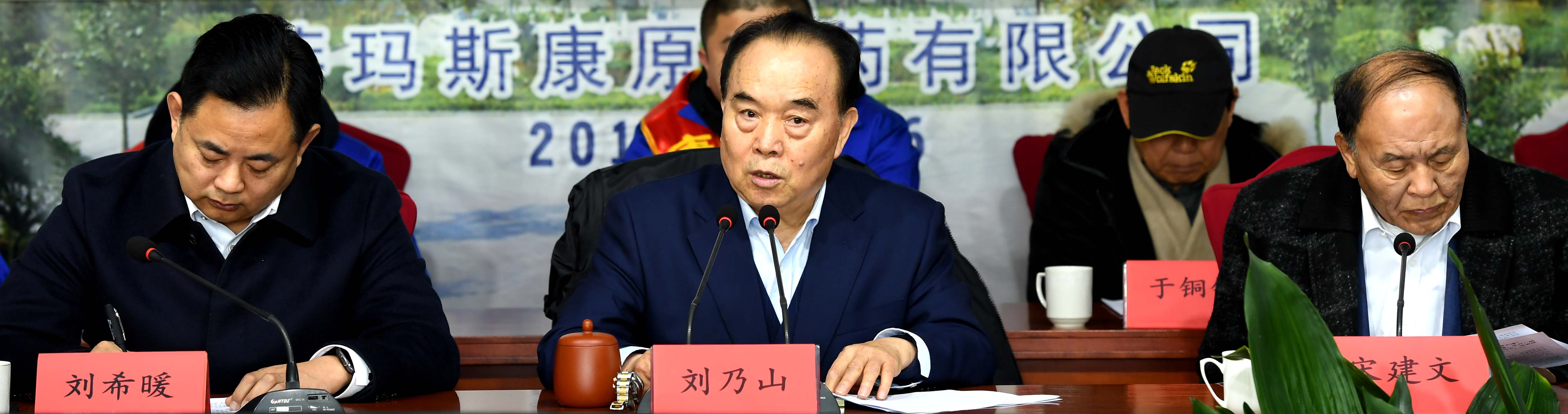 集团召开2025年工作会议